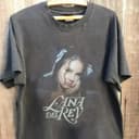 Camiseta y Sudadera Lana Del Rey Fan - Estilo Rock Vintage Unisex S-5XL 1 small thumbnail