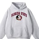 NCAA Florida State Seminoles Football Graphic T-Shirt Hoodie Sweater Regalo 1 small thumbnail