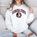 NCAA Florida State Seminoles Football Graphic T-Shirt Hoodie Sweater Regalo 3 small thumbnail