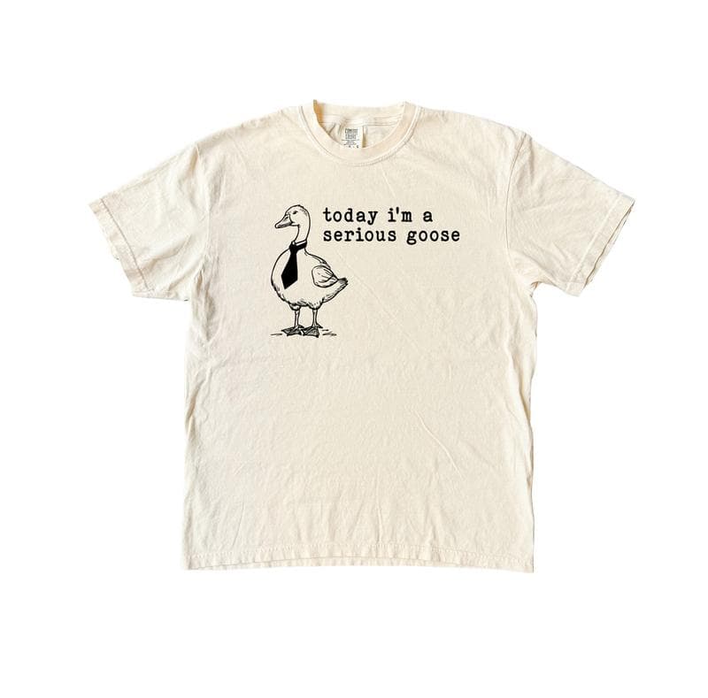 Serious Goose Funny Meme Shirt, Sweatshirt, Hoodie – image 1, Funny Goose Tee, Funny Goose Merch, Funny Goose Shirt, Funny Goose Sweatshirt, Funny Goose Hoodie, Funny Goose Clothes