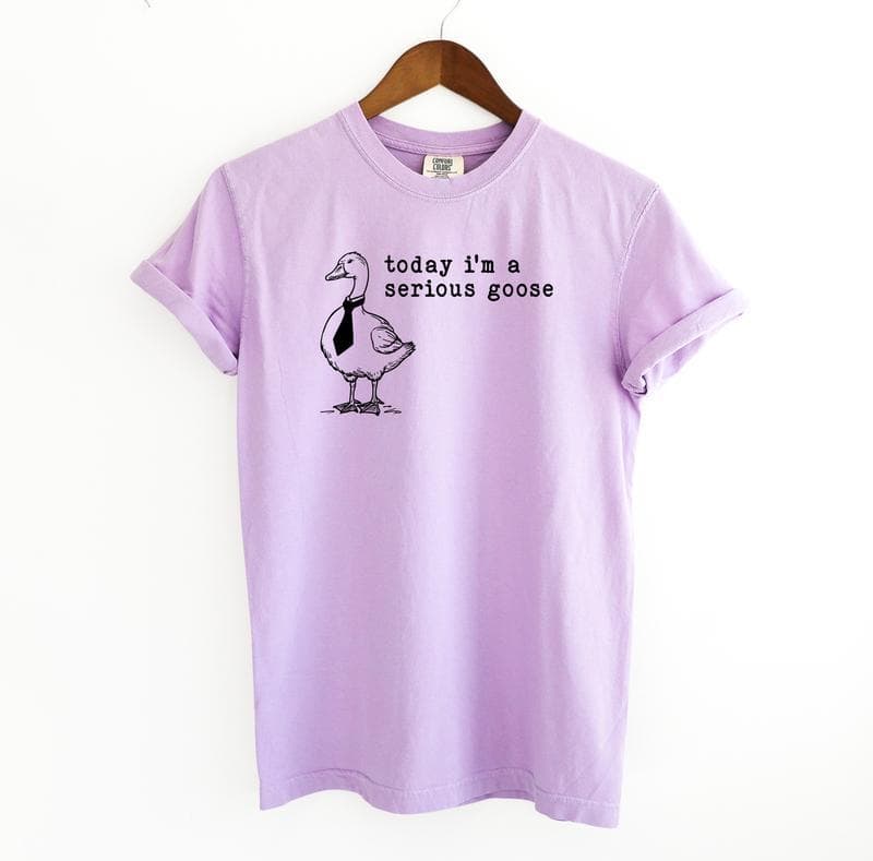Serious Goose Funny Meme Shirt, Sweatshirt, Hoodie – image 2, Funny Goose Tee, Funny Goose Merch, Funny Goose Shirt, Funny Goose Sweatshirt, Funny Goose Hoodie, Funny Goose Clothes