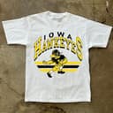 Vintage Universitaria Todos los Equipos NCAA T-Camiseta, Vintage Mascota Sudadera, Todos los Equiposs Universitaria Clásico Hoodie, Comfort Color 3 small thumbnail