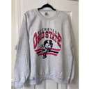 Vintage Mascota Universitaria Todos los Equipos NCAA Sudadera, Clásico Camiseta For Women and Men, Long Sleeve Raglan Hoodie 3 small thumbnail