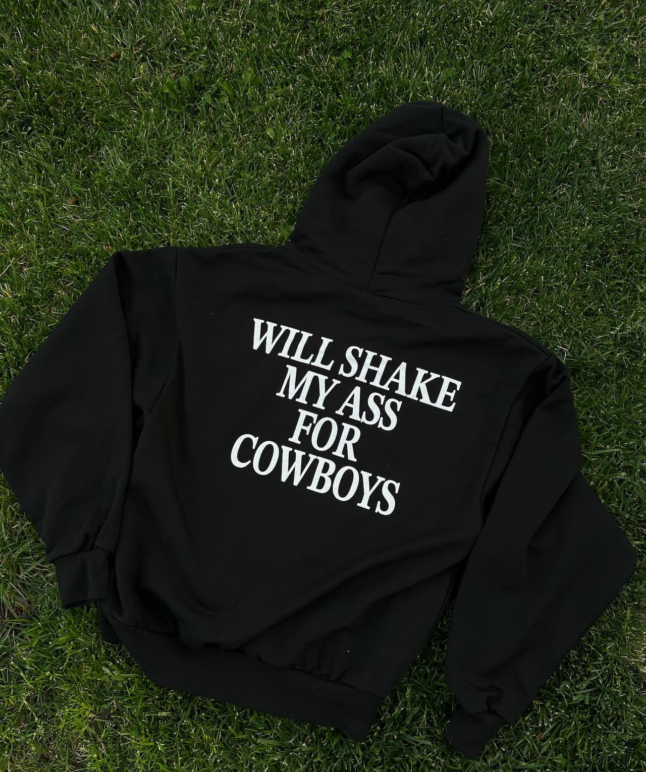 Will Shake My Ass For' Quote Hoodie & Sweatshirt – image 3, Will Shake My Ass For Tee, Will Shake My Ass For Merch, Will Shake My Ass For Shirt, Will Shake My Ass For Sweatshirt, Will Shake My Ass For Hoodie, Will Shake My Ass For Clothes